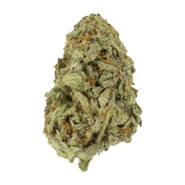 Cherry Blossom – 1 ounce | Bloom Supply Canada