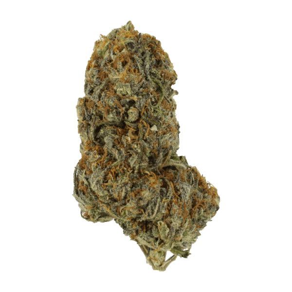 Dojaberry | Bloom Supply Canada