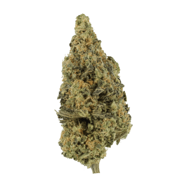 Lava Fuel | Bloom Supply Canada