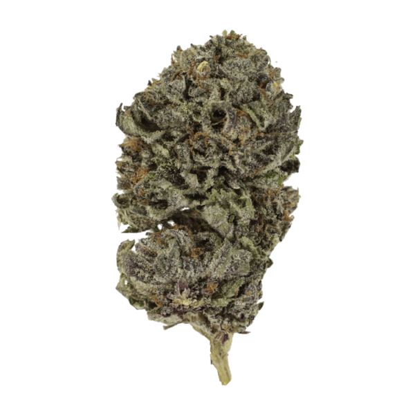 Purple Skunk | Bloom Supply Canada