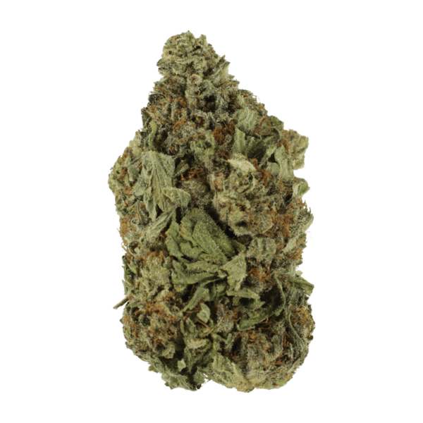 Shishkaberry | Bloom Supply Canada