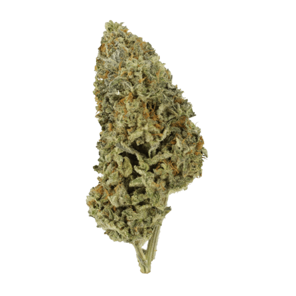 Super Silver Sour Diesel | Bloom Supply Canada