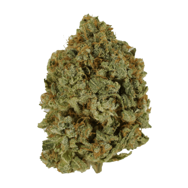 Crazy Glue | Bloom Supply Canada