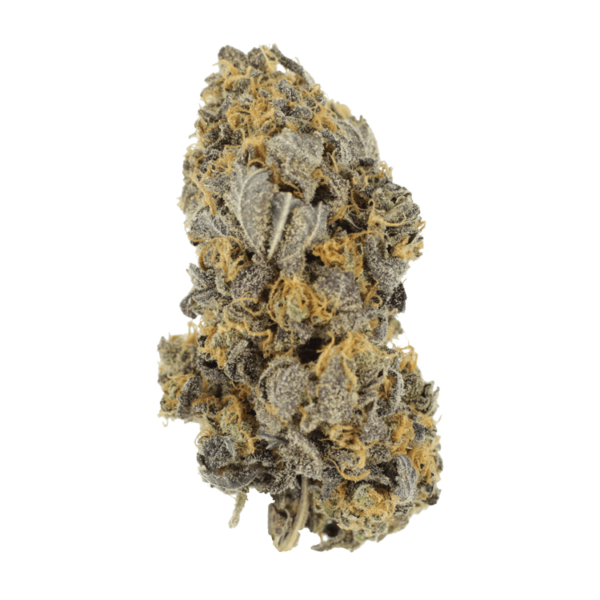 Mcgrupp | Bloom Supply Canada