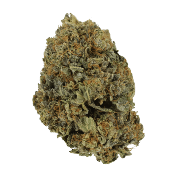 White Shark – 1 ounce | Bloom Supply Canada