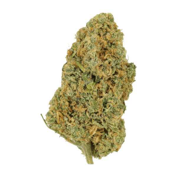 Lemon Bomb | Bloom Supply Canada