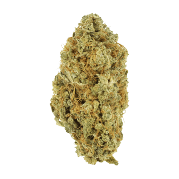 Strawberry Cheesecake – 1 ounce | Bloom Supply Canada