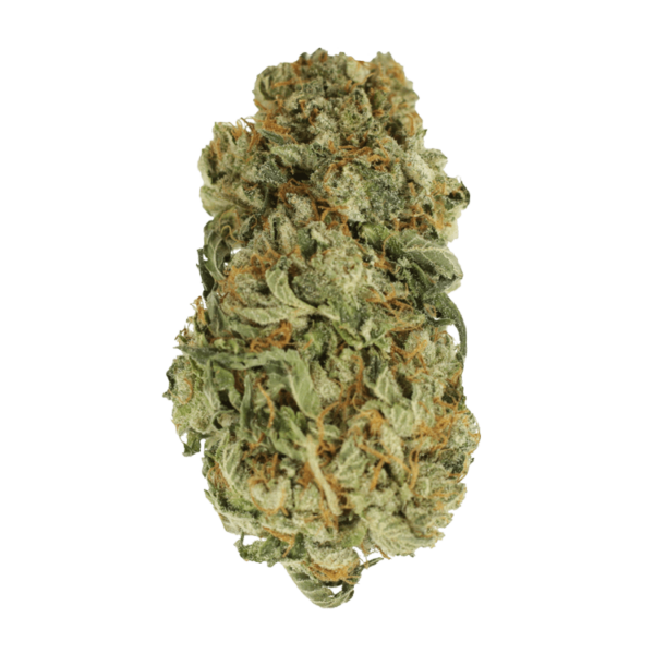 King Louis – 1 ounce | Bloom Supply Canada