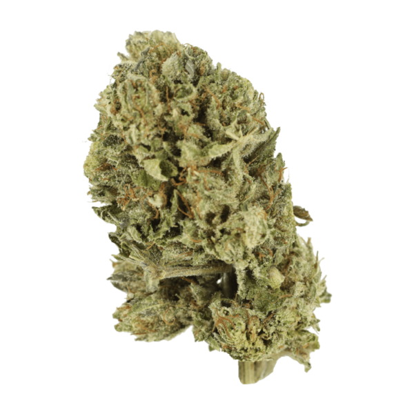 Purple OG Kush – 1 ounce | Bloom Supply Canada