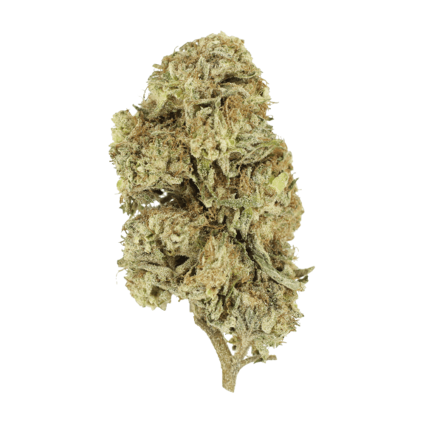 Cherry Wine (CBD) | Bloom Supply Canada