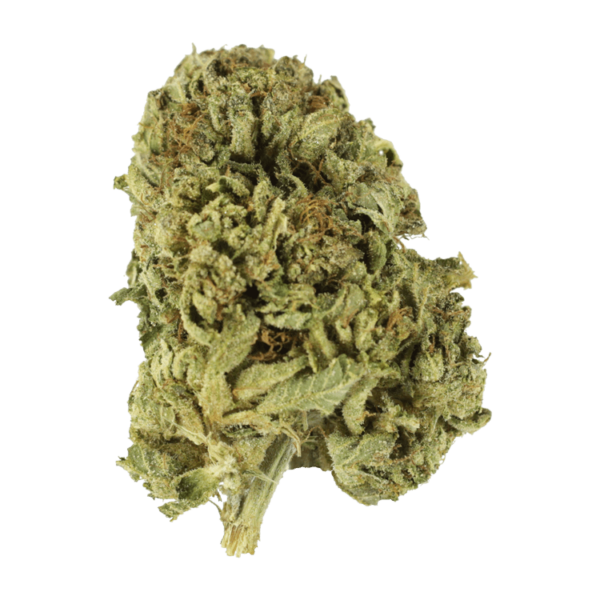 Strawberry Romulan | Bloom Supply Canada
