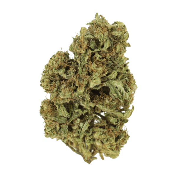 Cherry Wine (CBD) | Bloom Supply Canada