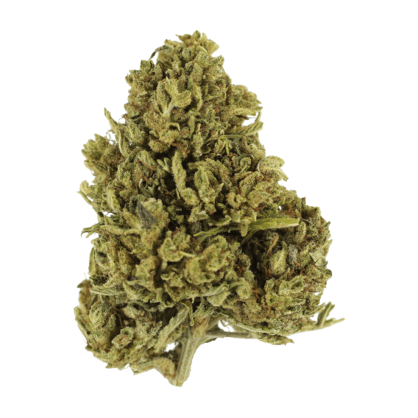 Cherry Wine (CBD) | Bloom Supply Canada