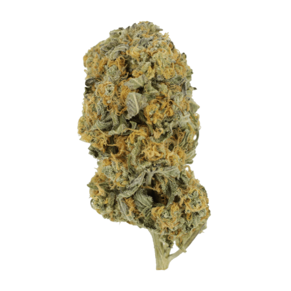 Sour Prince | Bloom Supply Canada