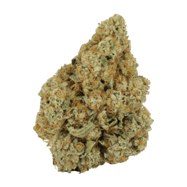 Black Cherry Punch | Bloom Supply Canada
