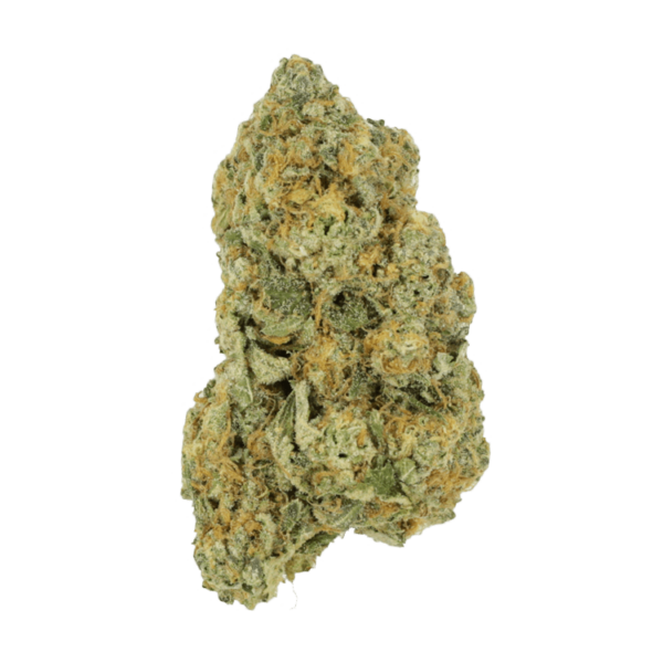 Black Cherry Punch | Bloom Supply Canada