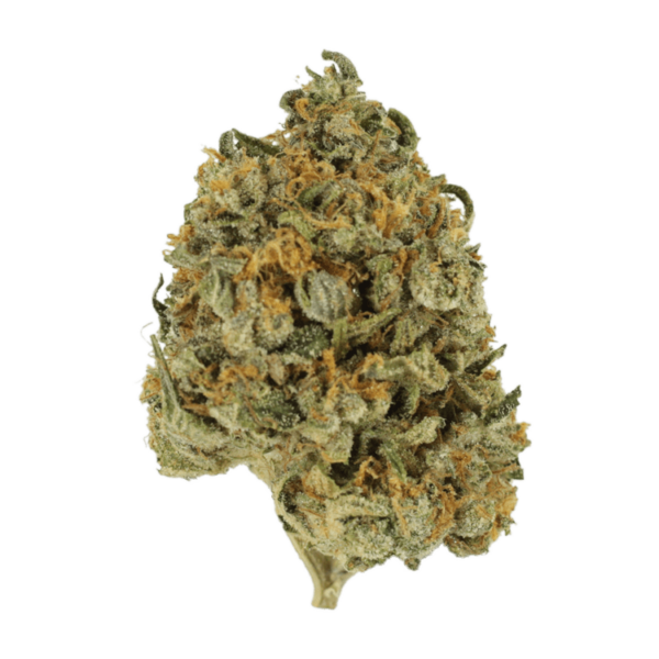 Banana Punch | Bloom Supply Canada