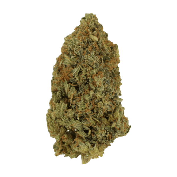 Rock Bubba | Bloom Supply Canada