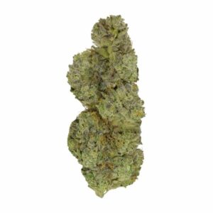 Strawberry Cough | Bloom Supply Canada