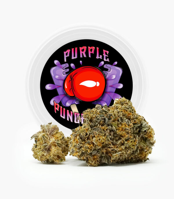 Westcoast Cali Tins – Premium Flower – Purple Punchsicle – 14g | Bloom Supply Canada