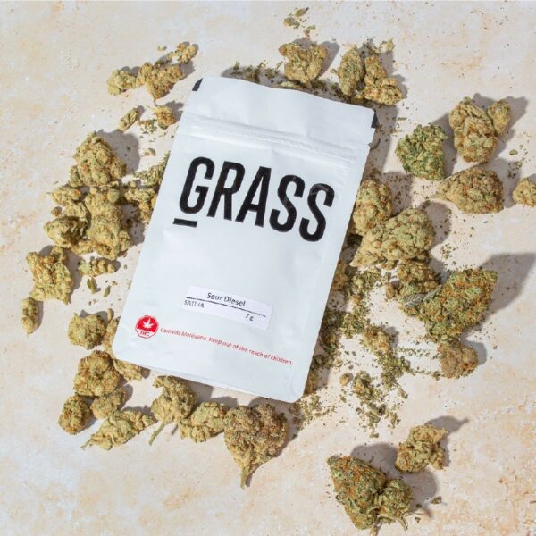 1/2OZ Sample Pack (AAA) – SAVE 20% | Bloom Supply Canada