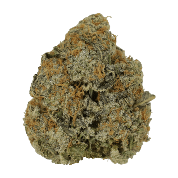 Apple Toffee | Bloom Supply Canada