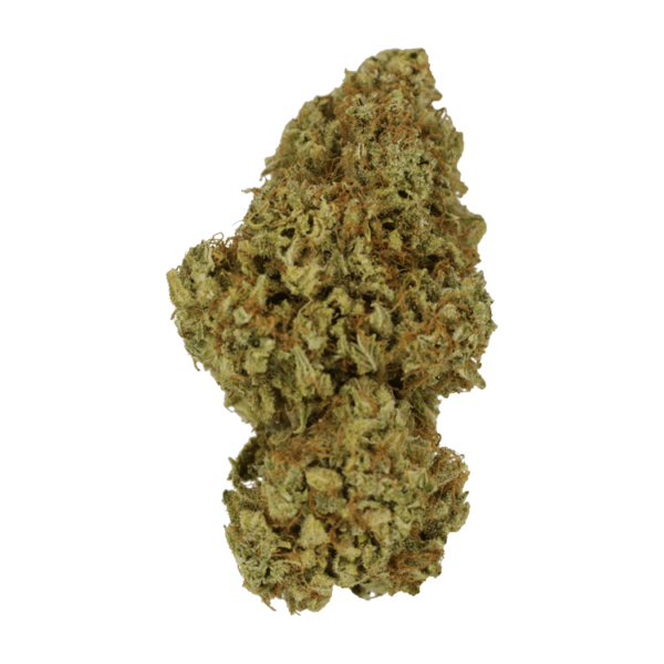 Sour Amnesia | Bloom Supply Canada