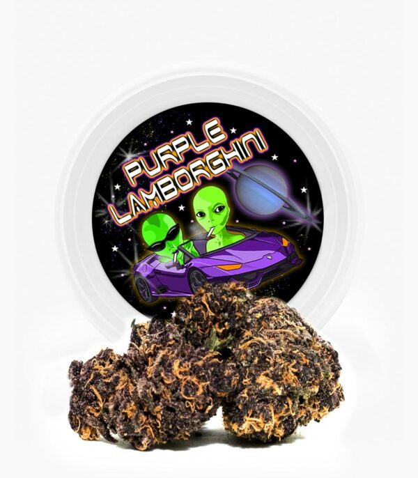 Westcoast Cali Tins – Premium Flower – Purple Lamborghini – 3.5g | Bloom Supply Canada