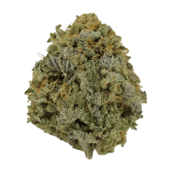 Pink Tuna (Popcorn) – $40/oz | Bloom Supply Canada