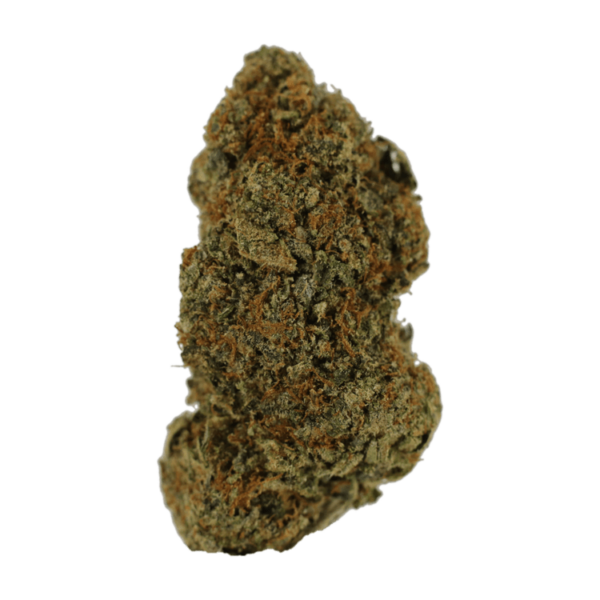 Donkey Butter | Bloom Supply Canada