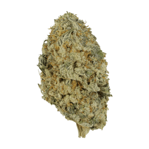 Donkey Butter | Bloom Supply Canada