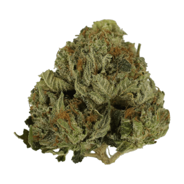 Pink Animal – 1 ounce | Bloom Supply Canada