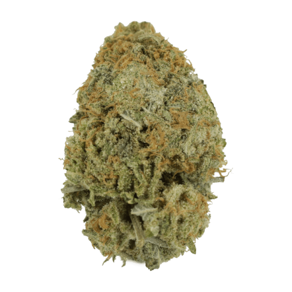 Pink Tuna (Popcorn) – $40/oz | Bloom Supply Canada