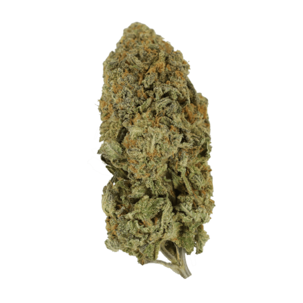 Captain Crunch | Bloom Supply Canada