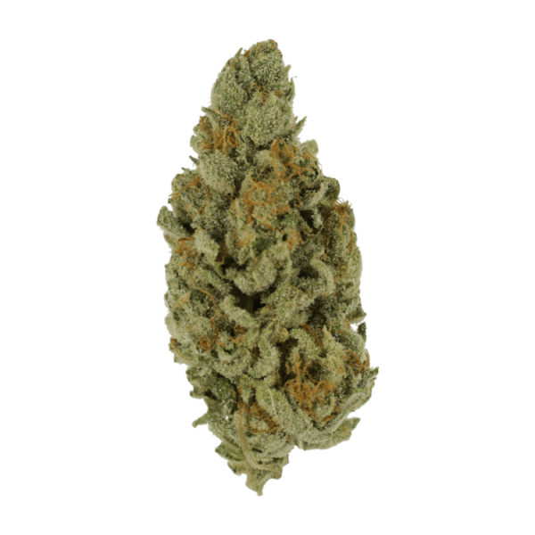 Captain Crunch | Bloom Supply Canada