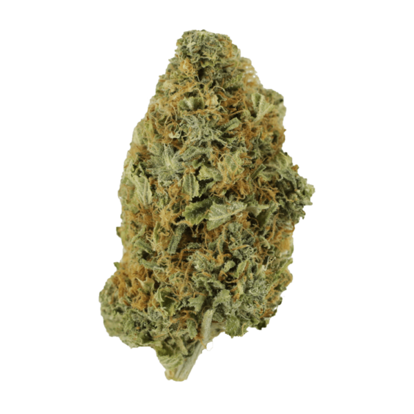 Purple Tuna – 1 ounce | Bloom Supply Canada