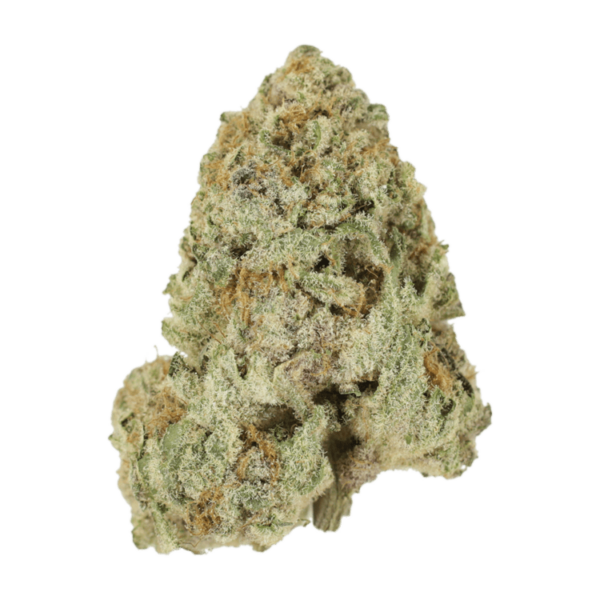 Dank Schrader | Bloom Supply Canada