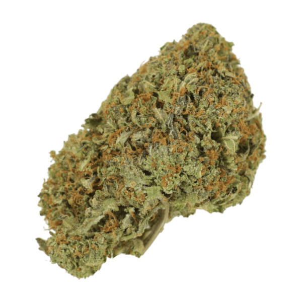 Garlic Breath – 1oz / $60 | Bloom Supply Canada