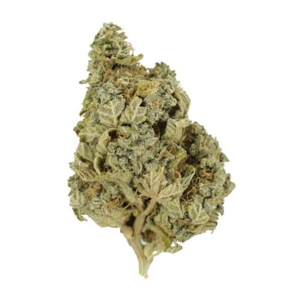 Khalifa Kush | Bloom Supply Canada