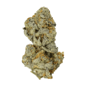 Bison Breath | Bloom Supply Canada