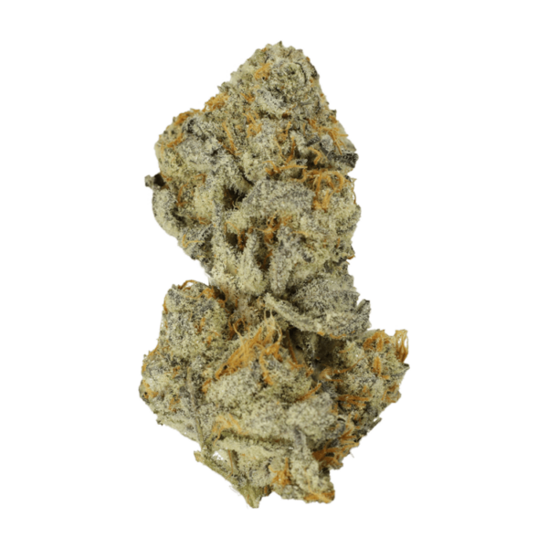 Bison Breath | Bloom Supply Canada