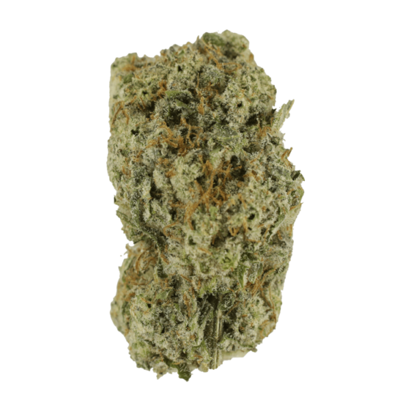 Eleven Roses | Bloom Supply Canada
