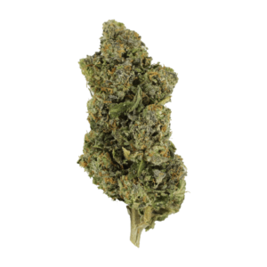 Jokerz | Bloom Supply Canada