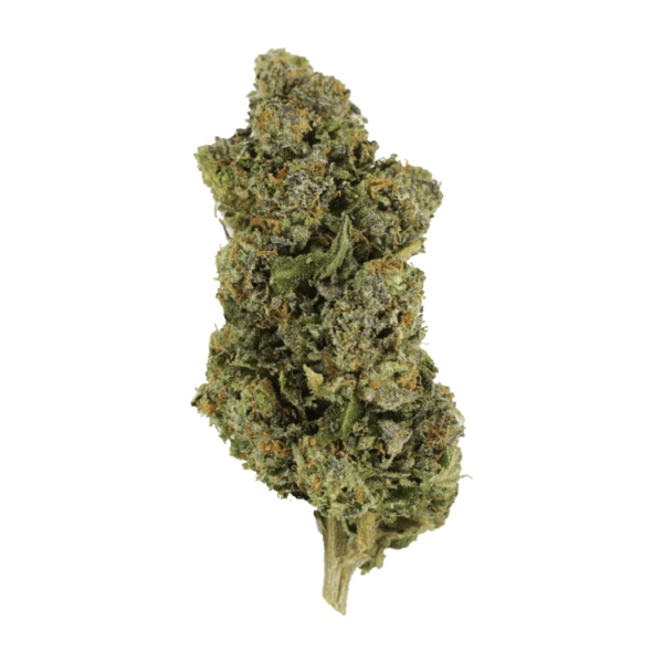 Jokerz | Bloom Supply Canada