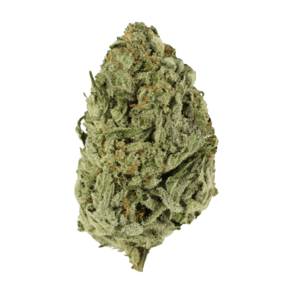 Lemon Meringue 1 Ounce | Bloom Supply Canada