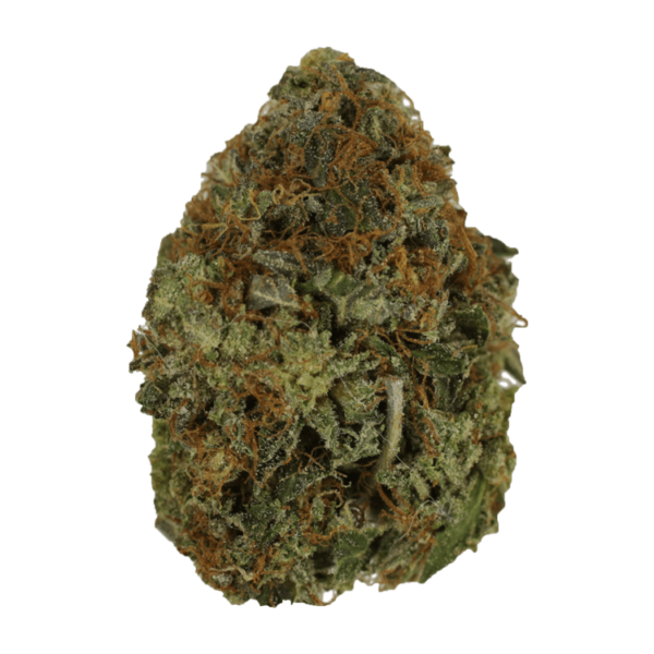 Orange Romulan | Bloom Supply Canada