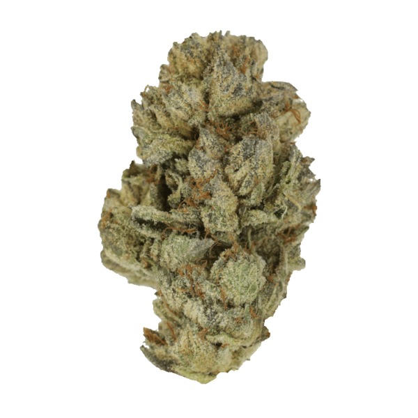 Pink Candy Kush | Bloom Supply Canada