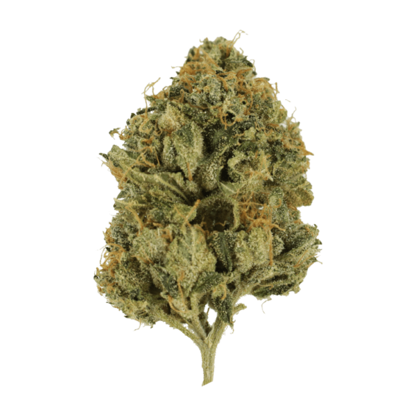 Fire OG | Bloom Supply Canada