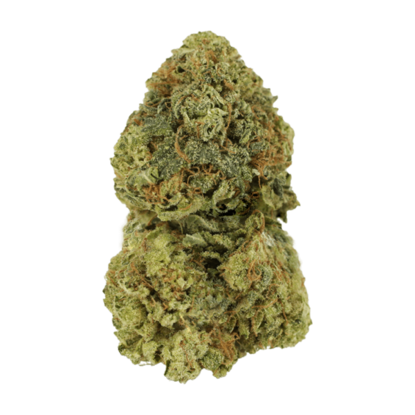 Critical Mass | Bloom Supply Canada