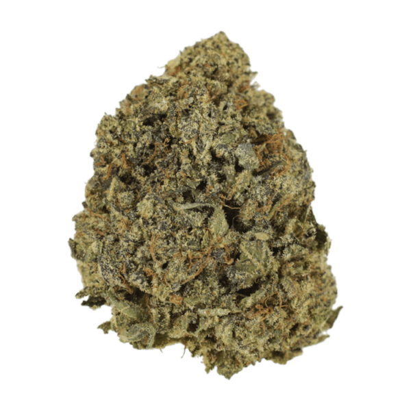 G13 | Bloom Supply Canada